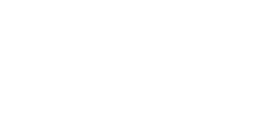 Flav Edibles
