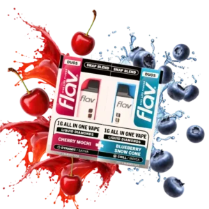 Flav Disposable Berry Blitz - SNAP Duo Vapes 2G